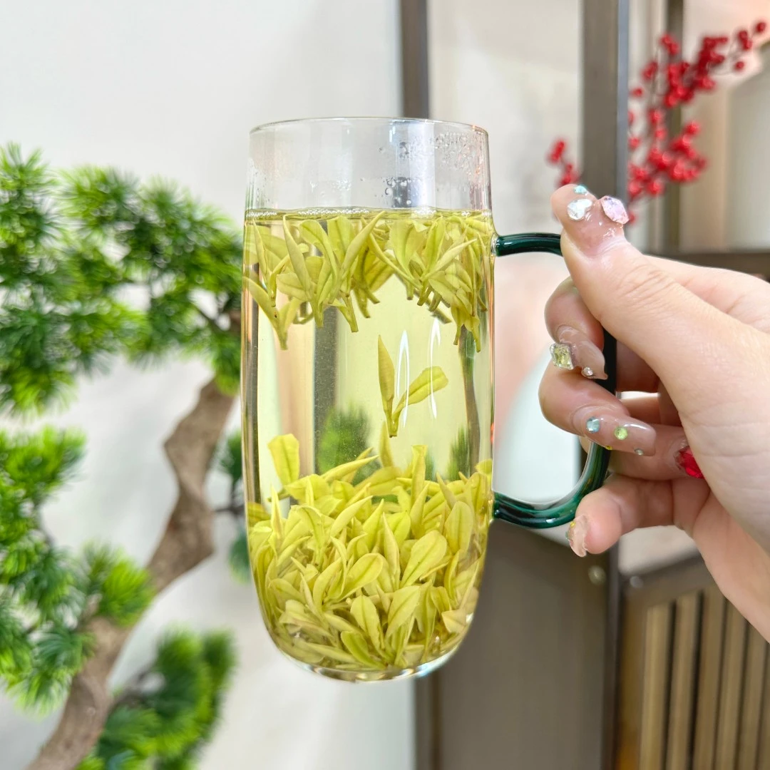 春季2023新茶  （正宗奶白精品黄金芽） 正宗安吉原产地白茶