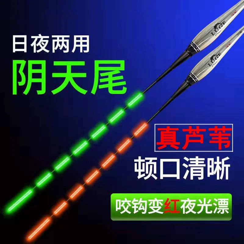 达摩日本新款日本日夜两用咬钩变色芦苇电子夜光漂阴天尾