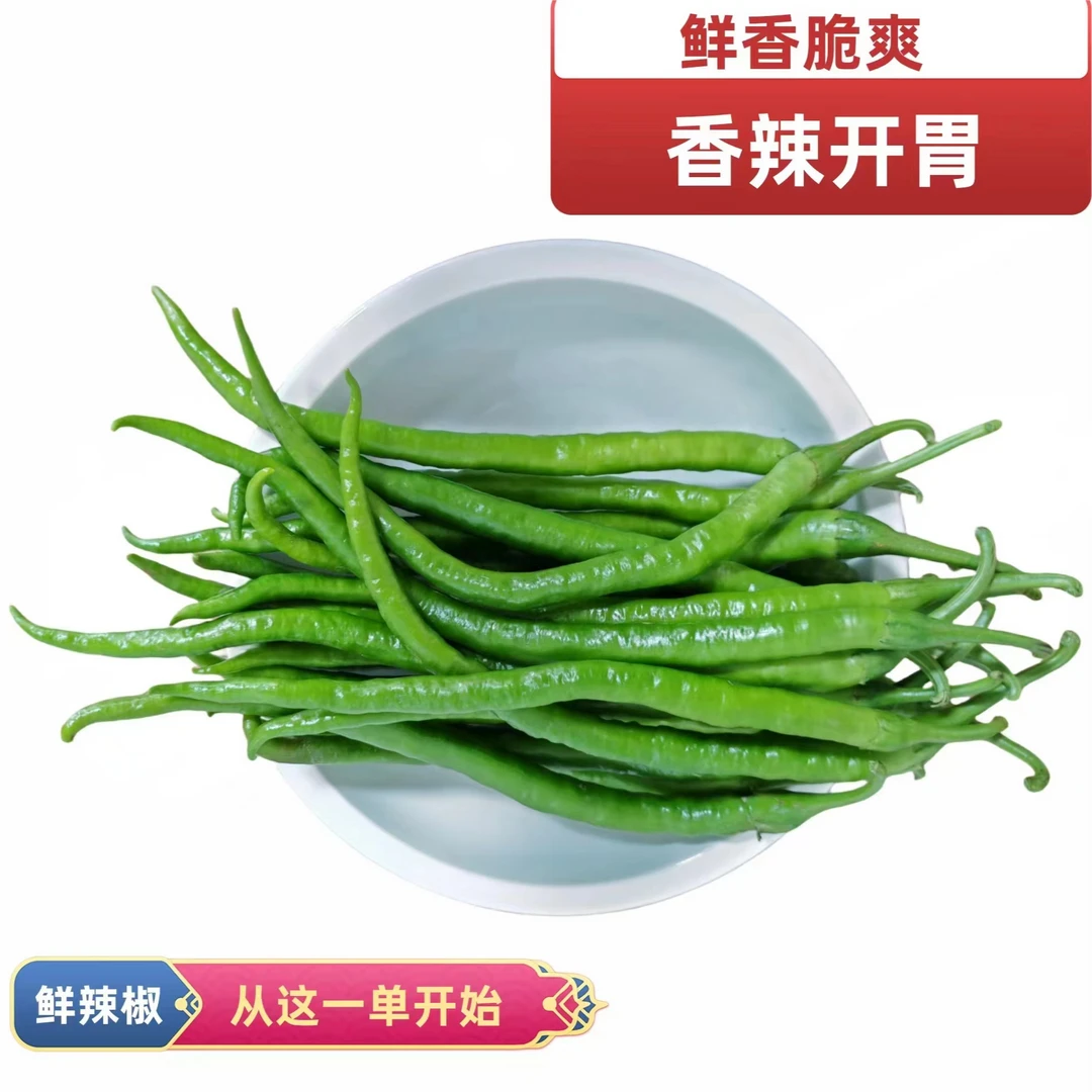 农家现摘青辣椒线椒生态种植辣椒湖南特产青椒鲜嫩饱满