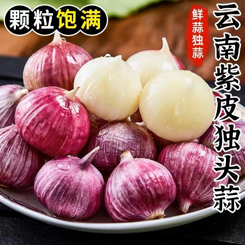 【现挖湿蒜】正宗云南大理紫皮独头蒜大蒜头香辣饱满湿蒜1/3/5/9斤