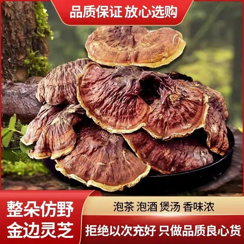 长白山特产整朵金边灵芝仿野灵芝品质保证泡茶泡酒煲汤