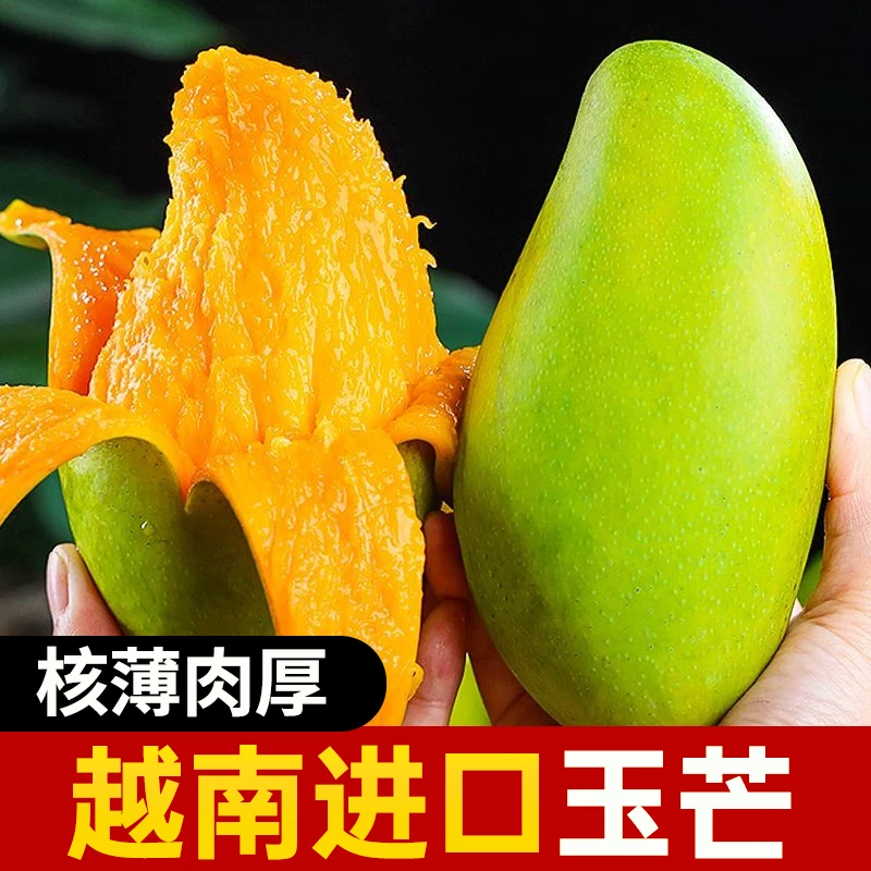 【越南进口】芒果青皮玉芒3/5/9斤香甜饱满多汁当季新鲜水果整箱