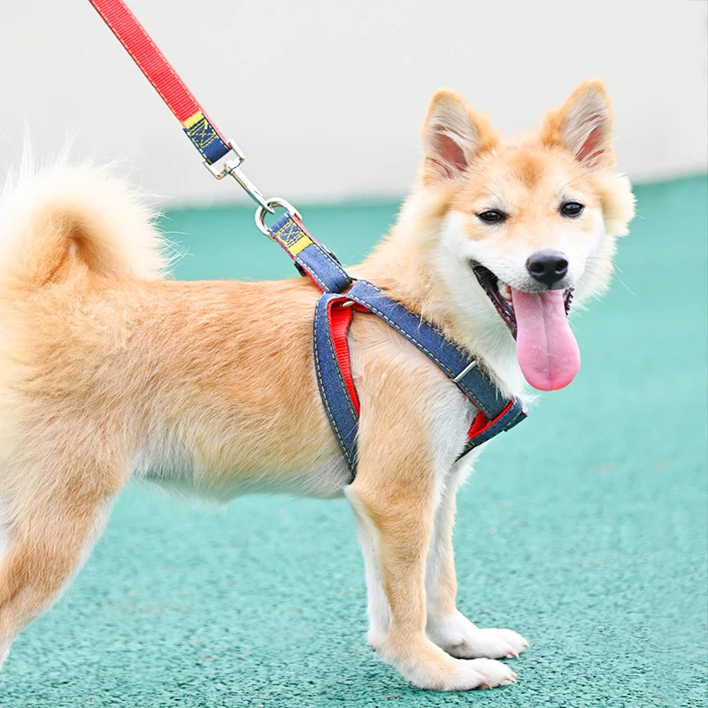 狗狗牵引绳胸背带中小型犬狗链子狗项圈泰迪比熊博美柴犬遛狗绳子