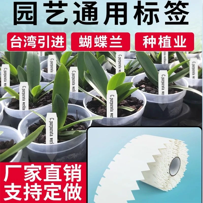 机打连打园艺标签种植业育苗育种PVC塑料插牌兰花蝴蝶兰标识