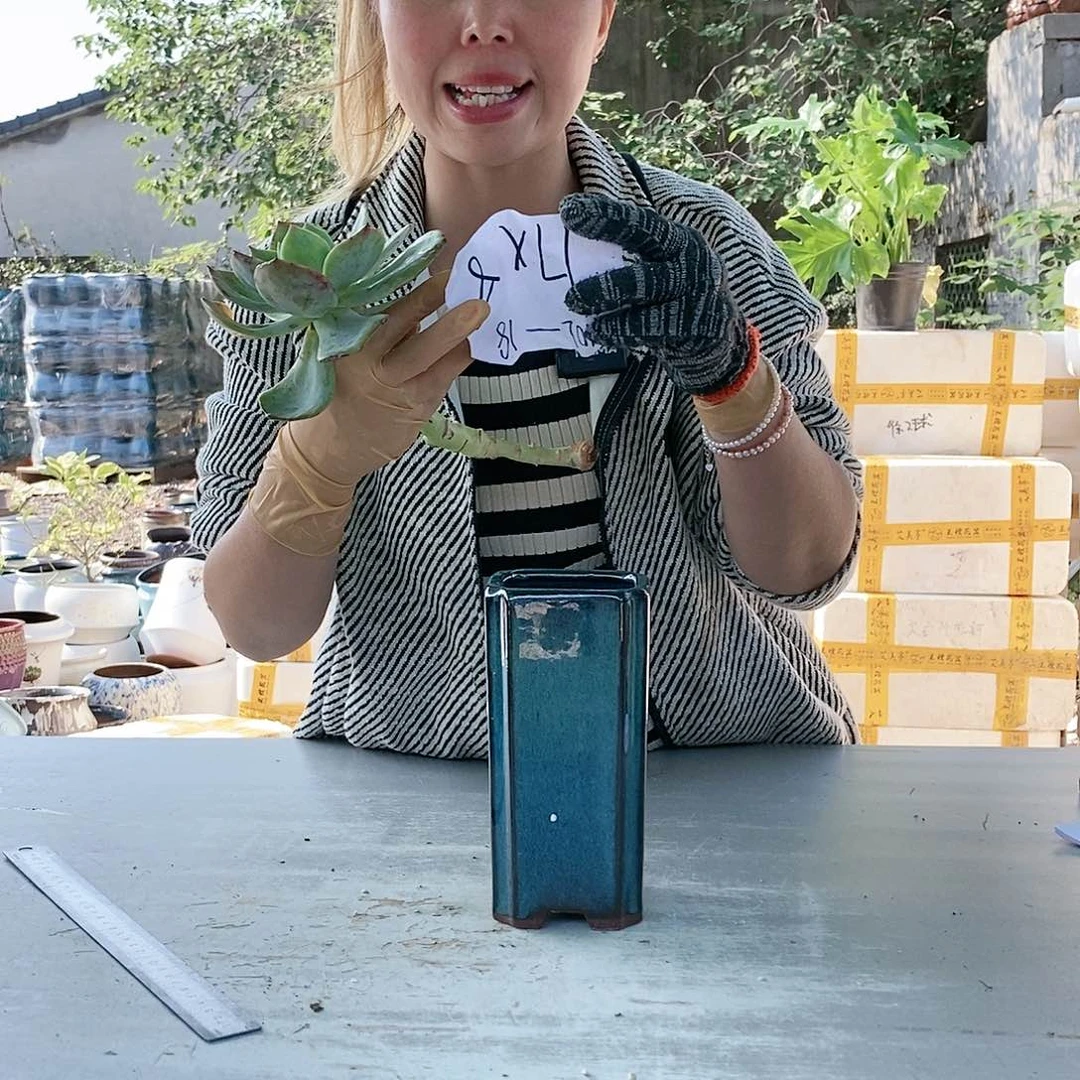 红陶20CM以下王嫂花盆1102-18