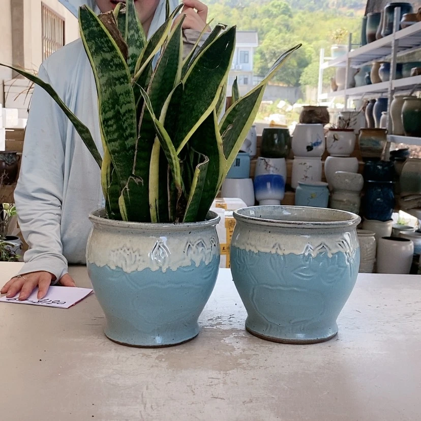 【闪购商品】红陶20CM以下黄口荷花