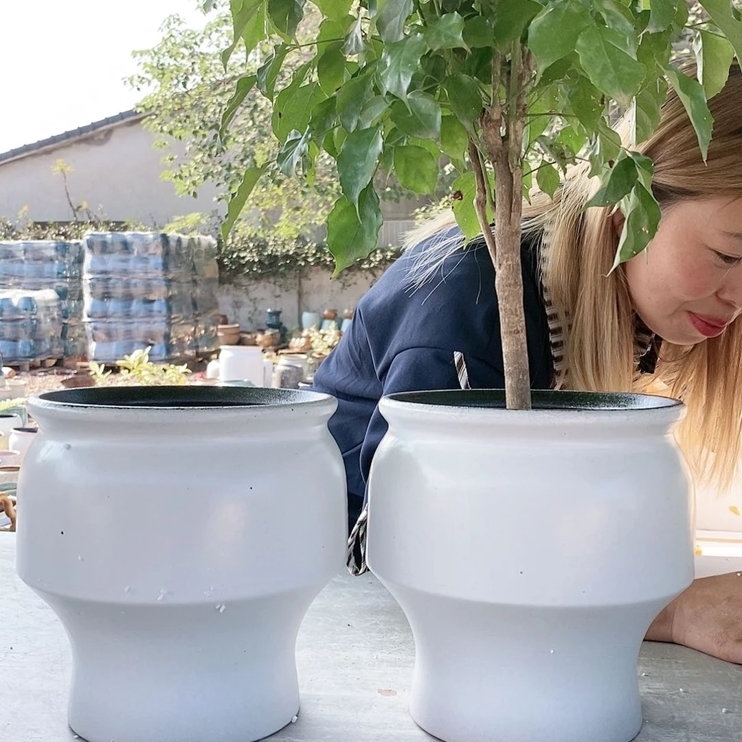 红陶20CM以下宋白火锅两个