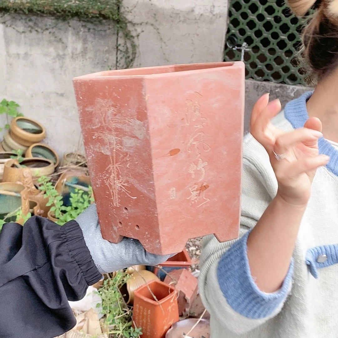 红陶20CM以下王嫂花盆1022-02