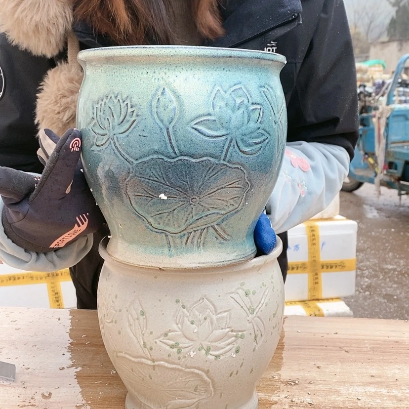【闪购商品】红陶15cm以下韩荷花