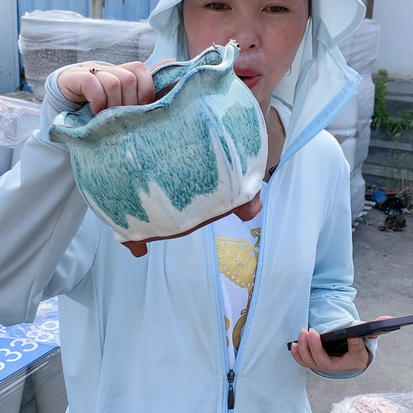 【闪购商品】红陶20CM以下宋白南瓜一个