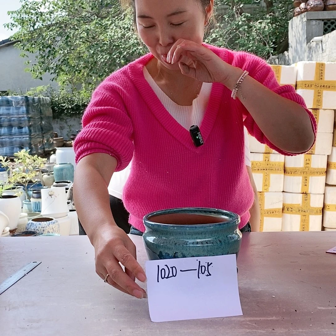 红陶20CM以下王嫂花盆1020-105