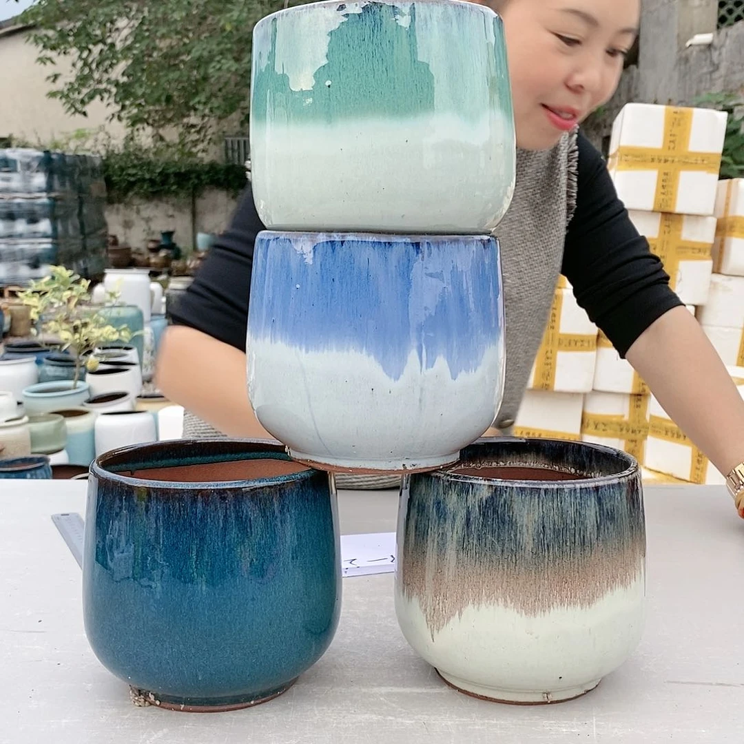 红陶20CM以下向小龙蛋