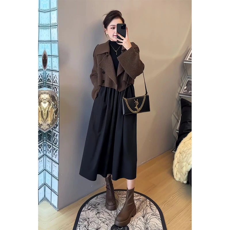 秋季新款女装两件套高级感时尚宽松洋气针织外套穿搭连衣裙套装女