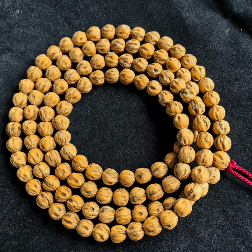 红牙原桩竖打百香籽，牙口微修，油性大密度高，沉实压手