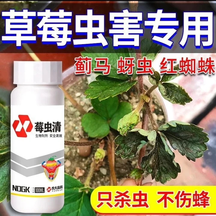 草莓虫害专用莓虫清快速杀虫虫卵双杀不伤花果不伤蜂