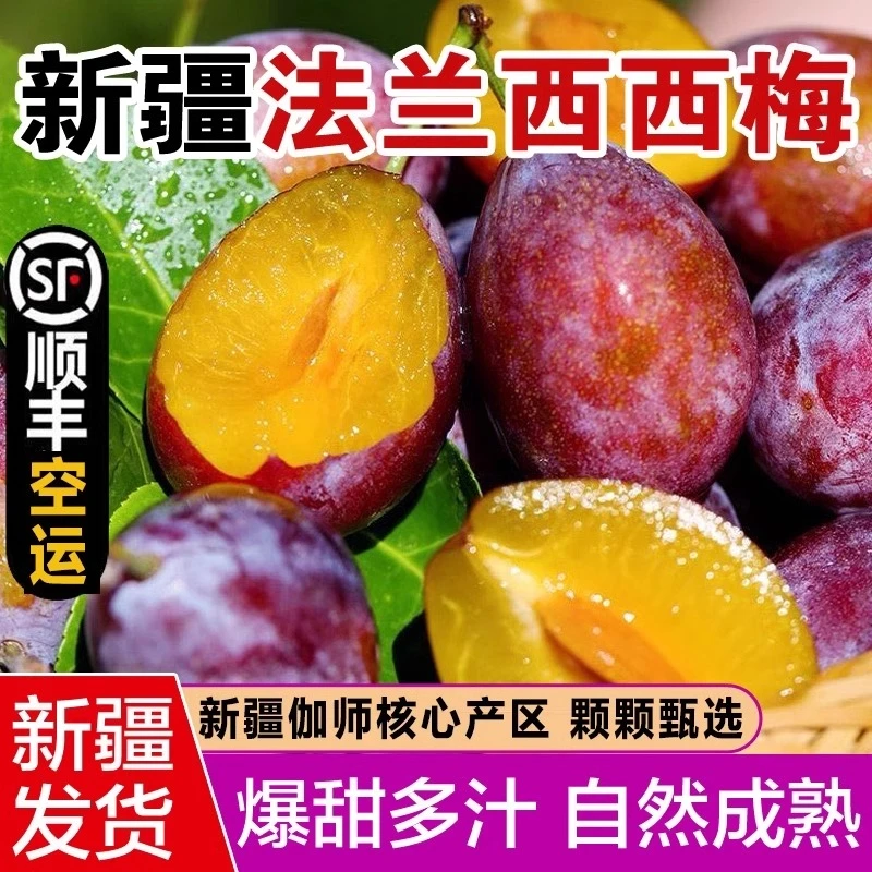 【顺丰现货】新疆法兰西小西梅新鲜水果当季现摘喀什西梅鲜果大西梅