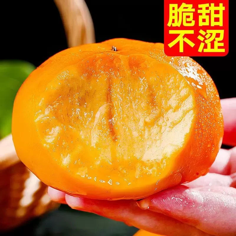 【坏果包赔】2024阳丰巧克力脆柿香甜应季水果无籽无核产地果园直发