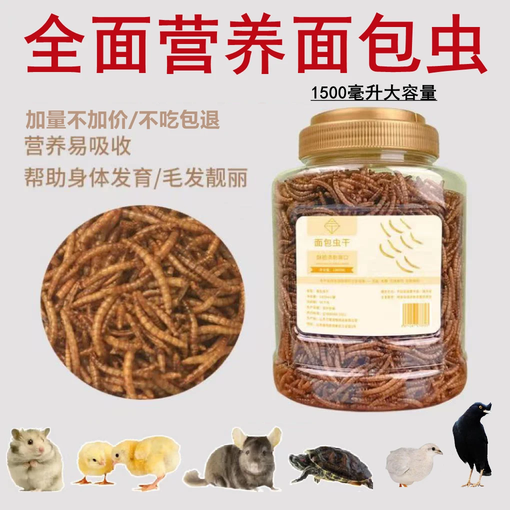 优质面包虫干八哥芦丁鸡爱吃黄粉虫干仓鼠鹌鹑小宠奖励增肥零食