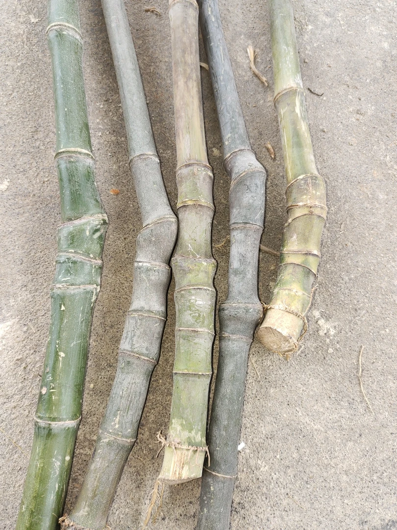 实心玉竹文玩把件