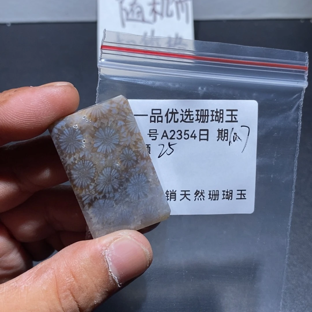 硅化珊瑚(珊瑚玉)颈饰合金怡****⁸2354