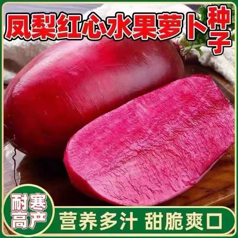 紫美人凤梨水果萝卜新鲜冰淇淋生吃甜脆心里美潍坊青红心皮胡萝卜