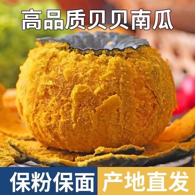国产麻子精选山东寿光真贝贝南瓜板栗味 宝宝辅食 (5斤装)现摘