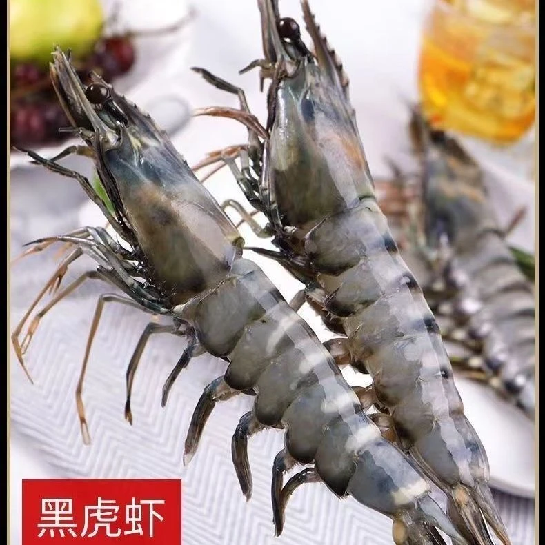 鲜活黑虎虾【包鲜不包活】肉质紧实 每斤8-10条可选2-5斤介意勿拍！！