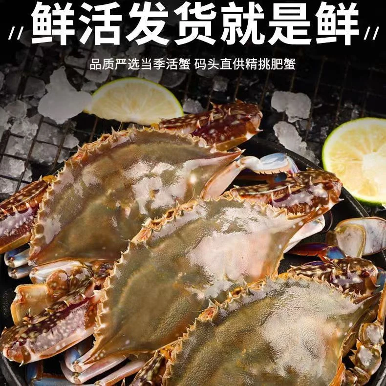 【保鲜不保活】母蟹梭子蟹单只3-5两每斤2-3只左右个别断臂