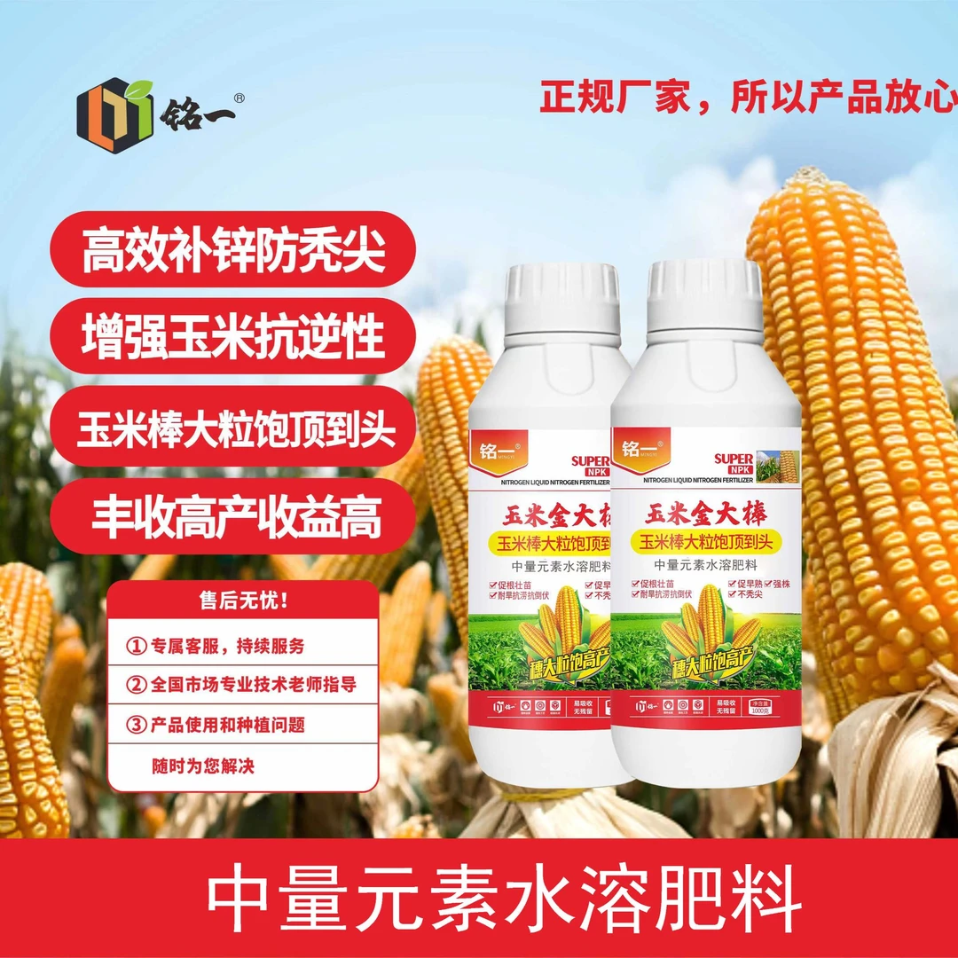 铭一玉米金大棒促根壮苗促早熟强株耐旱抗涝不秃尖