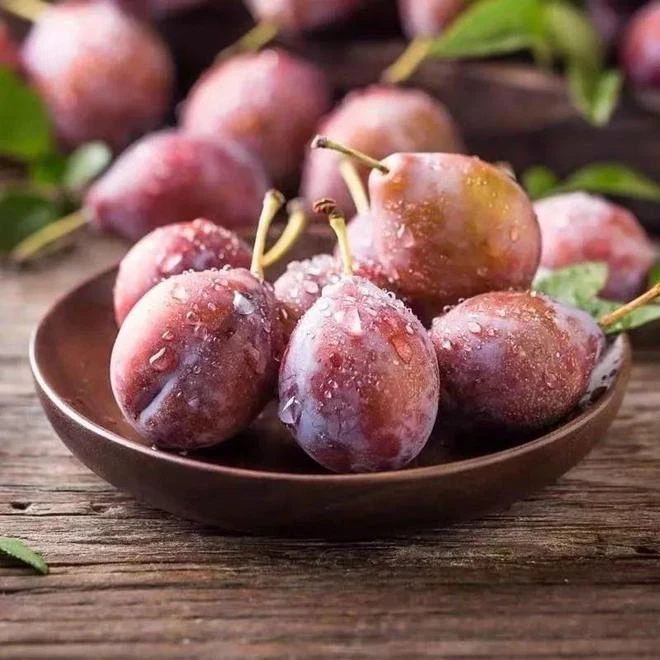 当季水果 西梅 斤装