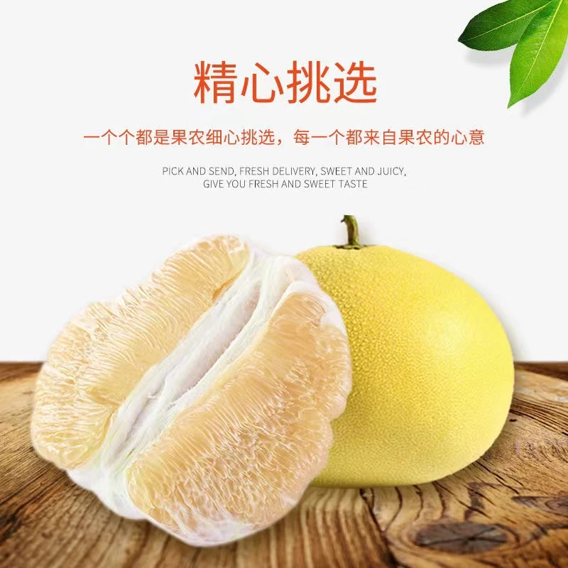 金丝蜜柚福建平和产地直发清脆多汁