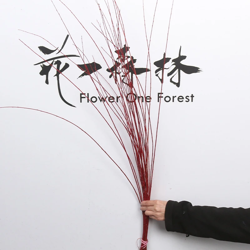 【 伊朗红柳福利】进口花材伊朗红柳
