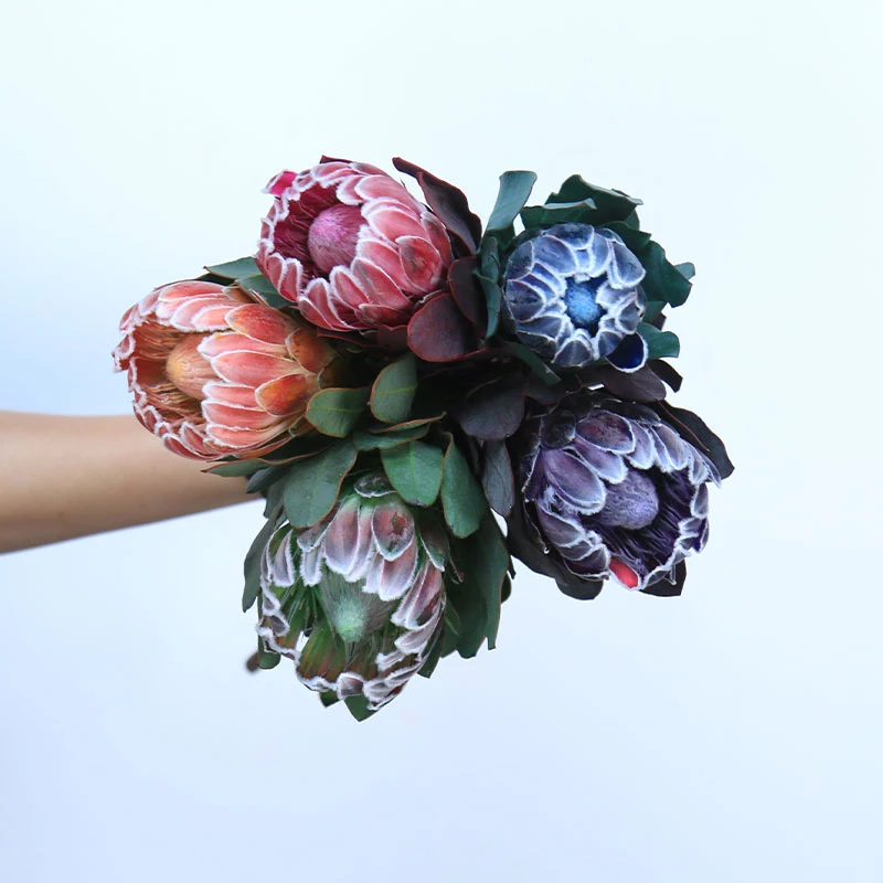 【二代嘉年华福利】进口花材帝王公主生活花束