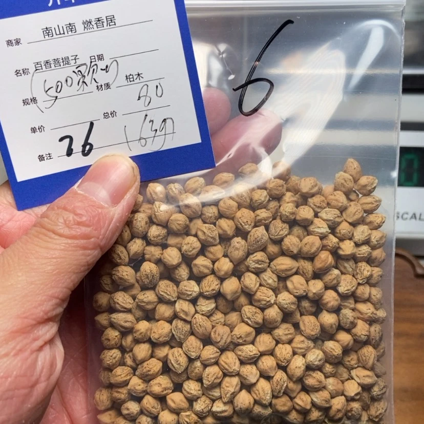 【闪购商品】柏香籽/百香籽吊坠一**着