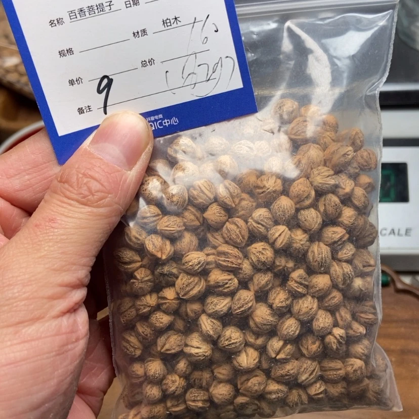 【闪购商品】柏香籽/百香籽吊坠勇**途