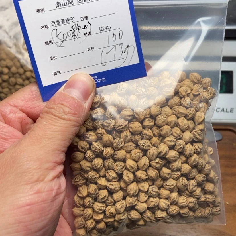 【闪购商品】柏香籽/百香籽吊坠程*瘦