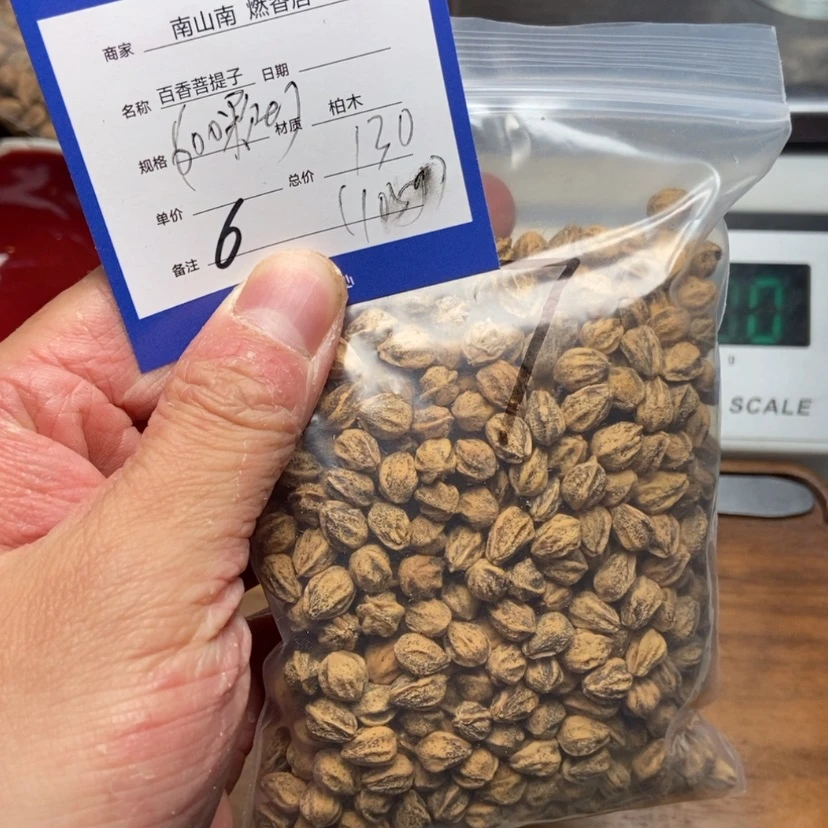 【闪购商品】柏香籽/百香籽吊坠乔**伊