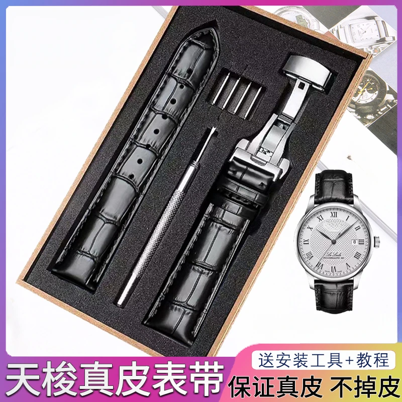 适用天梭表带1853手表皮带T006/T41力洛克原厂T063俊雅真皮手表链