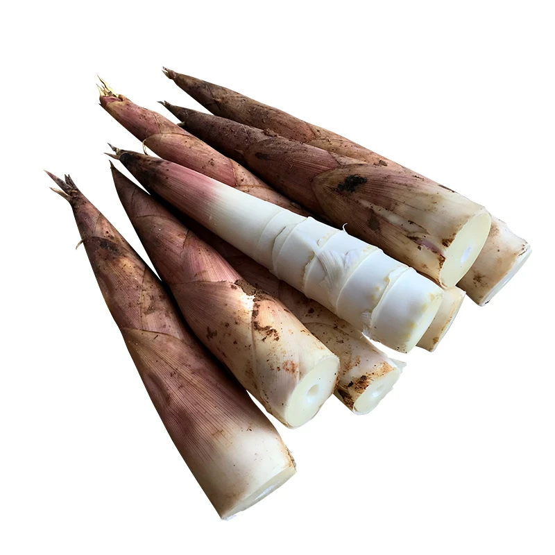 新鲜冬笋雷笋雷竹笋挑选优质发货装箱3斤5斤