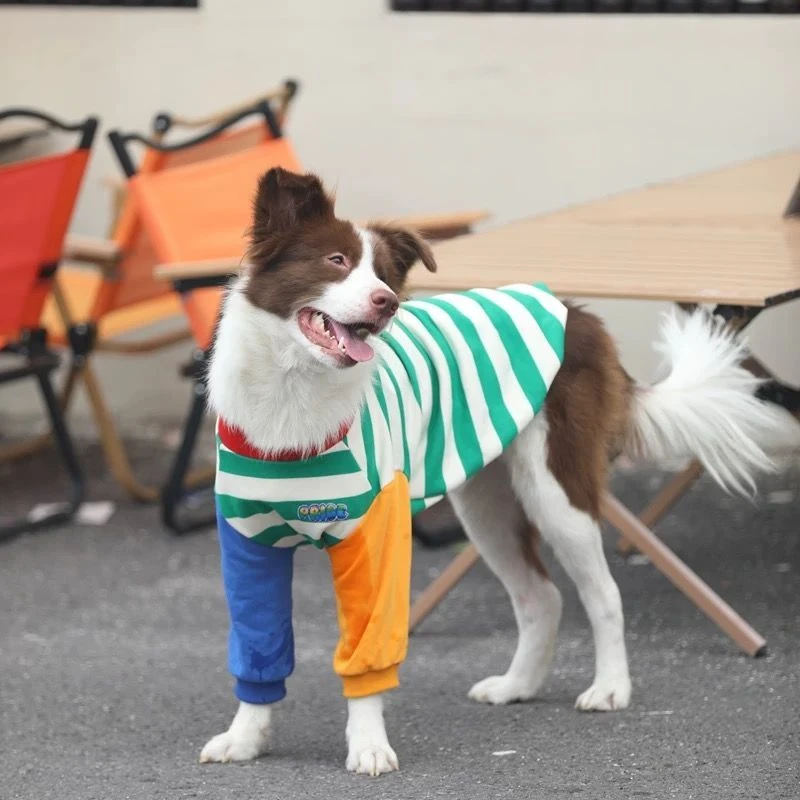 中大型犬狗狗衣服秋季卫衣宠物金毛边牧萨摩耶撞色拼接潮牌秋装