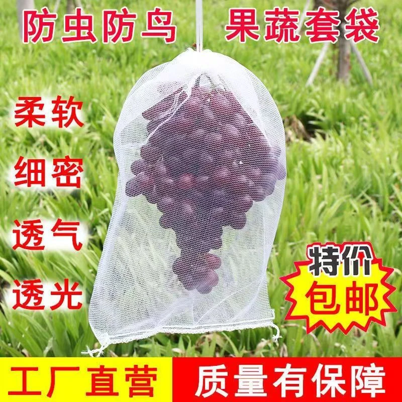 水果套袋防虫防鸟尼龙专用网袋葡萄桃子石榴草莓无花果通用网纱袋