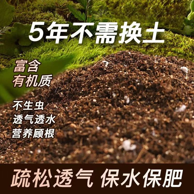 蓝莓自家基地种植轻基质泥炭土珍珠岩月季杜鹃酸性通用土多年配方