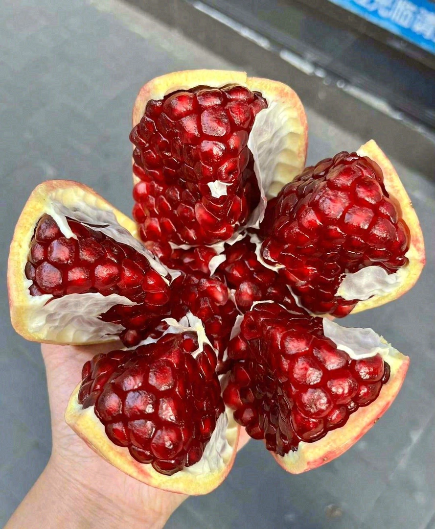 突尼斯软籽石榴1级果5斤装