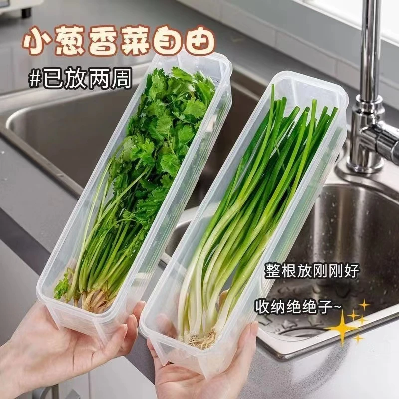 4个装 香菜小葱收纳盒冰箱整根保鲜加厚款面条鸡蛋备菜保鲜密封