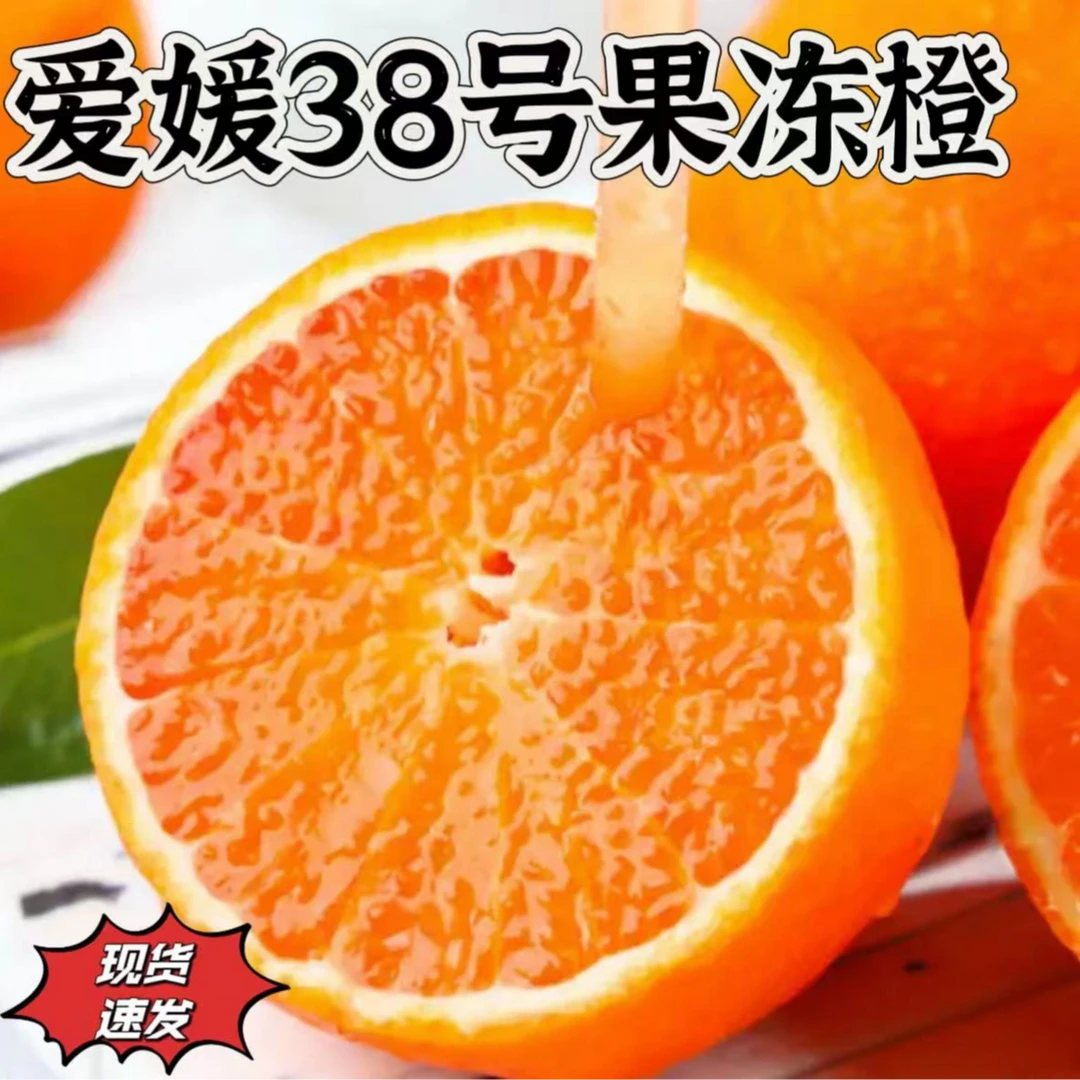 （现摘果冻橙）四川爱媛38号果冻橙产地直发甜橙子爆汁坏果包赔