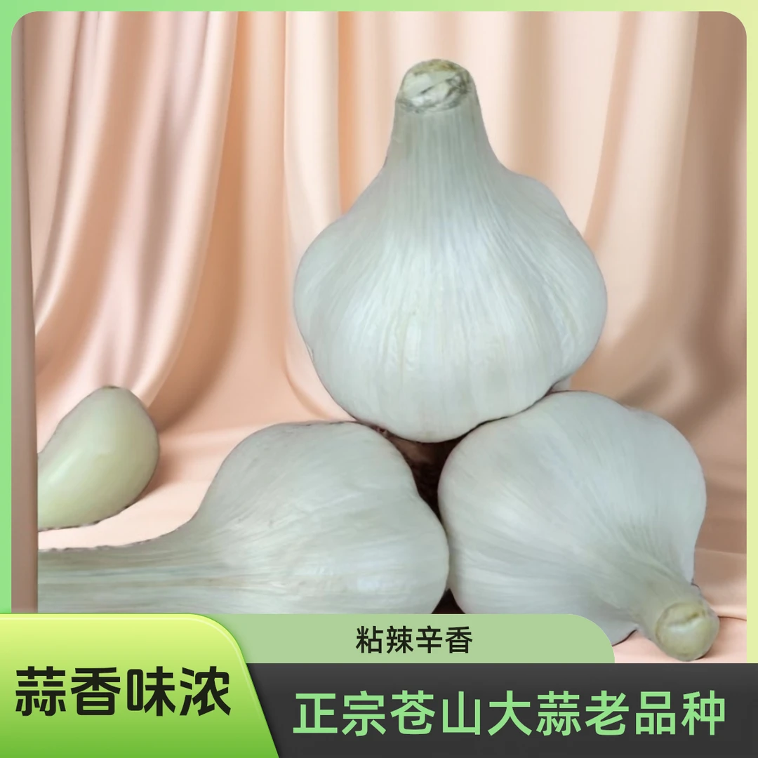 【宇宇农场】苍山四六瓣大蒜2024新干蒜1斤/3斤/5斤装粘辣蒜香味浓