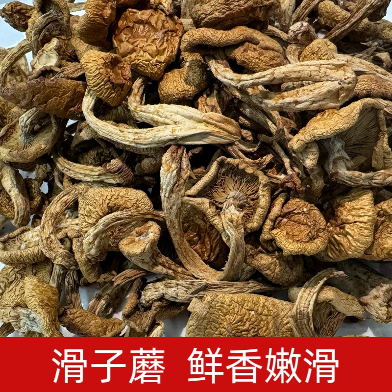 东北特产滑子菇 干货滑子蘑 小黄蘑菇 干货 可煲汤 小鸡炖蘑菇