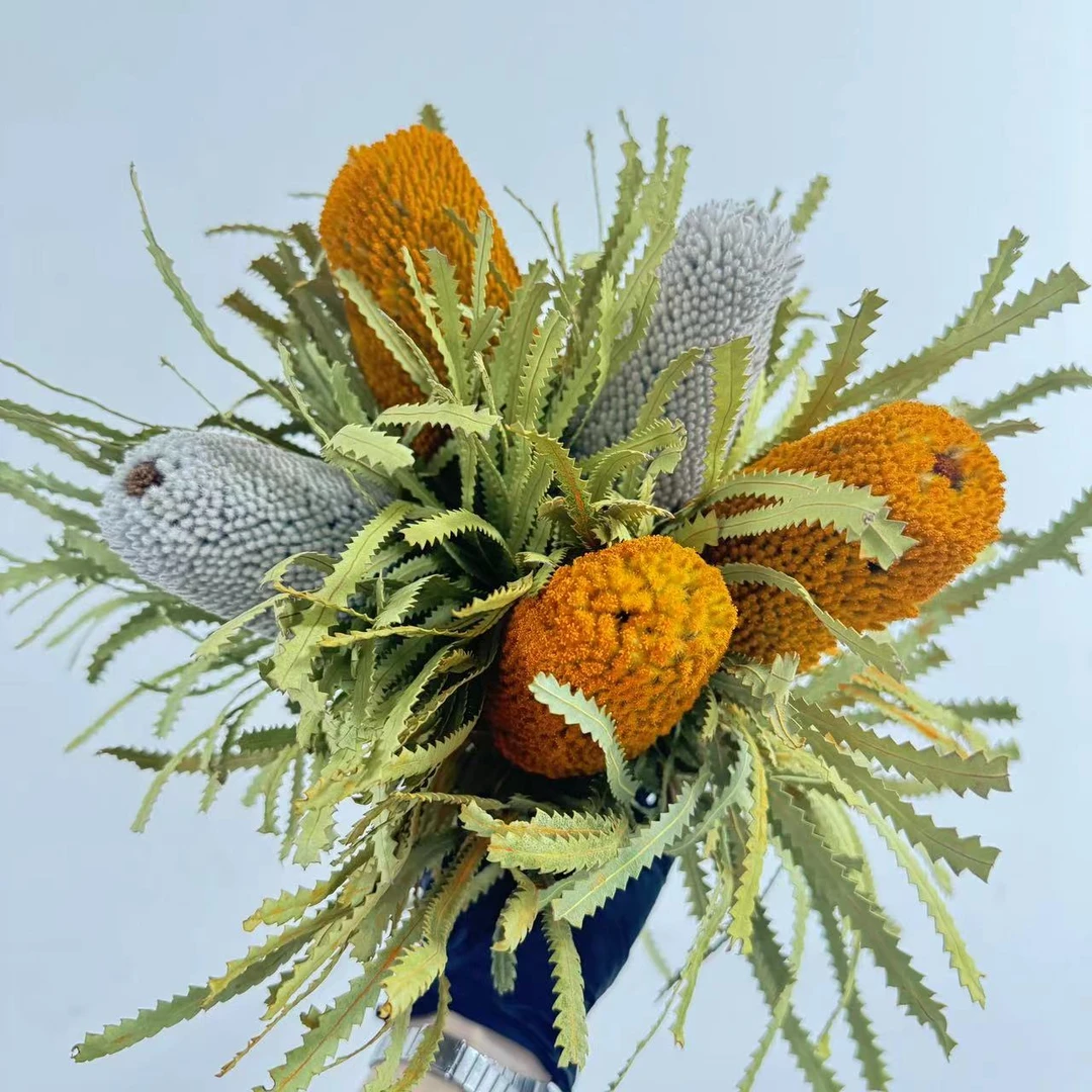 细叶毛绒干花永生花花束【毛绒炸心属于正常现象】