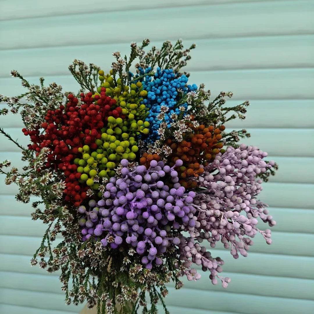开播套餐  小花椒果进口鲜花花束1把（颜色随机）