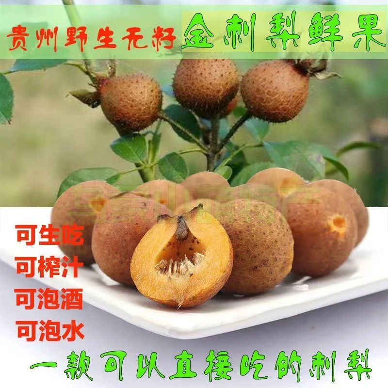 贵州刺梨鲜果无籽金刺梨现摘土特产刺梨果农家果打果汁泡酒泡水